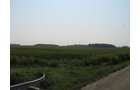 Property photo 8 - 192.5+/- Acres Offered in 3 Tracts
